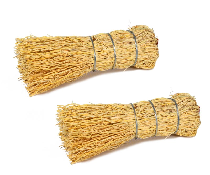 MexART Brush Escobeta De Raiz Natural / Mexican Root Brush 5" ( Set of 2 ) - Image 1